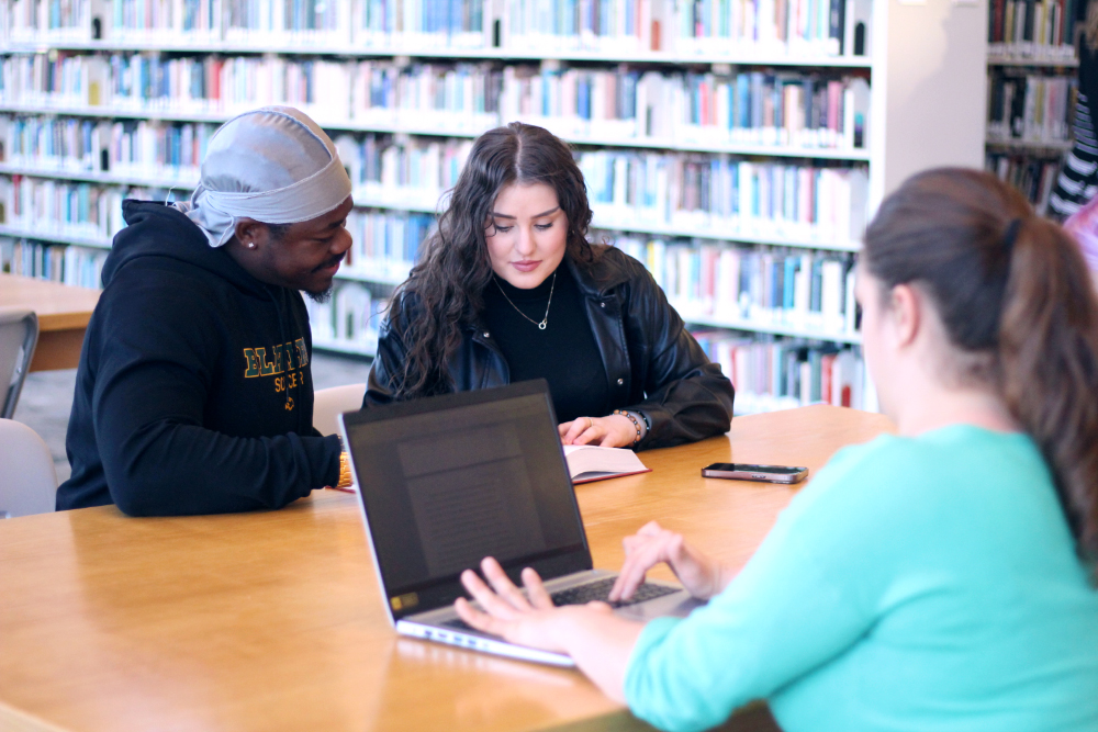 A group of students studying together in the library